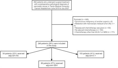 Comparison of adjuvant nab-paclitaxel plus gemcitabine, S-1 and gemcitabine chemotherapy for resectable pancreatic cancer: a real-world study